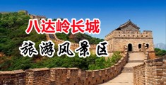 骚视频网站免费进入中国北京-八达岭长城旅游风景区